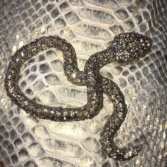 CLARA KASAVINA GOLD GREY GONZALEZ PYTHON SATCHEL BAG - Picture 10 of 13